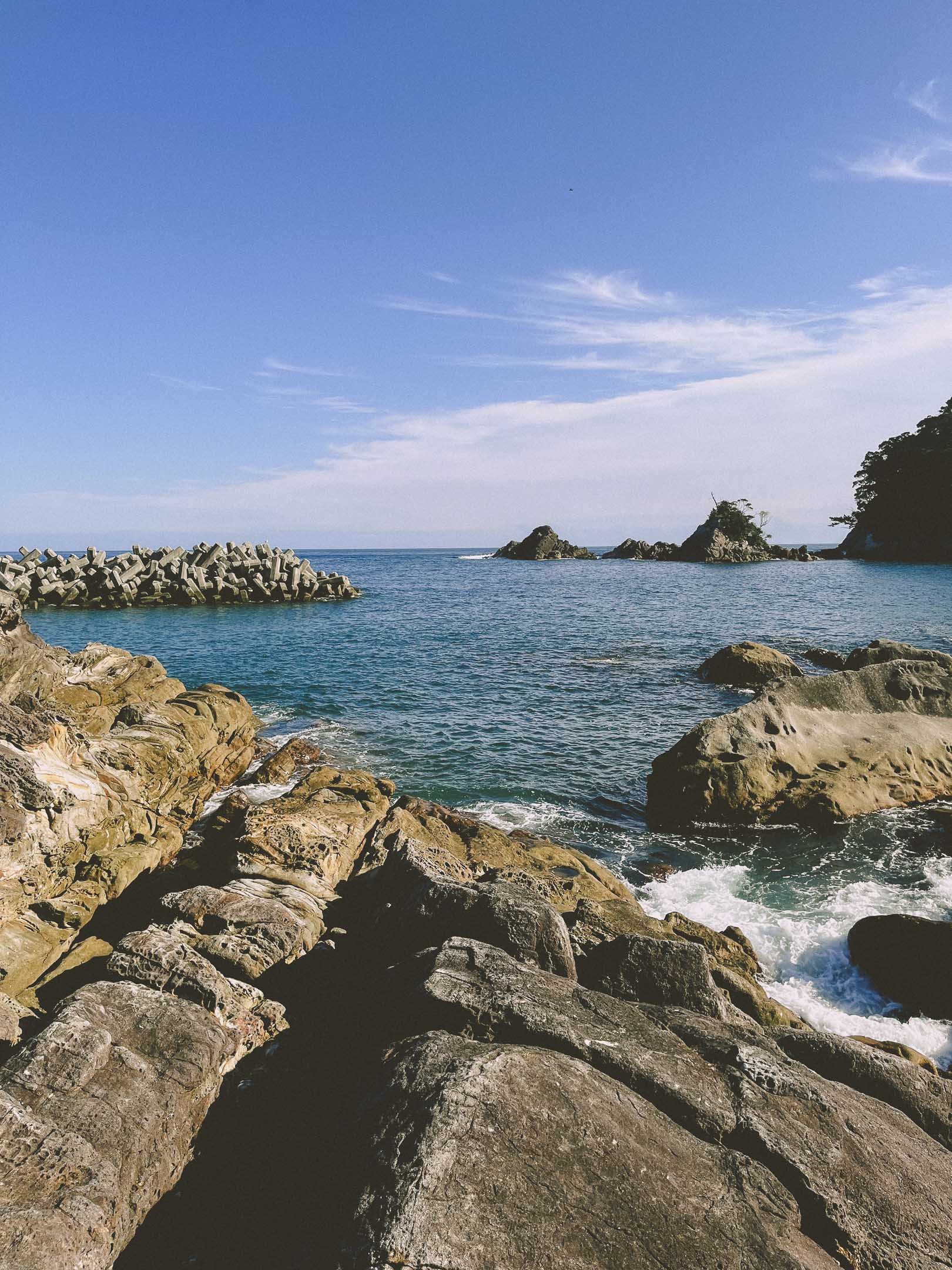 徳島県海陽町の町並み（山茶花）