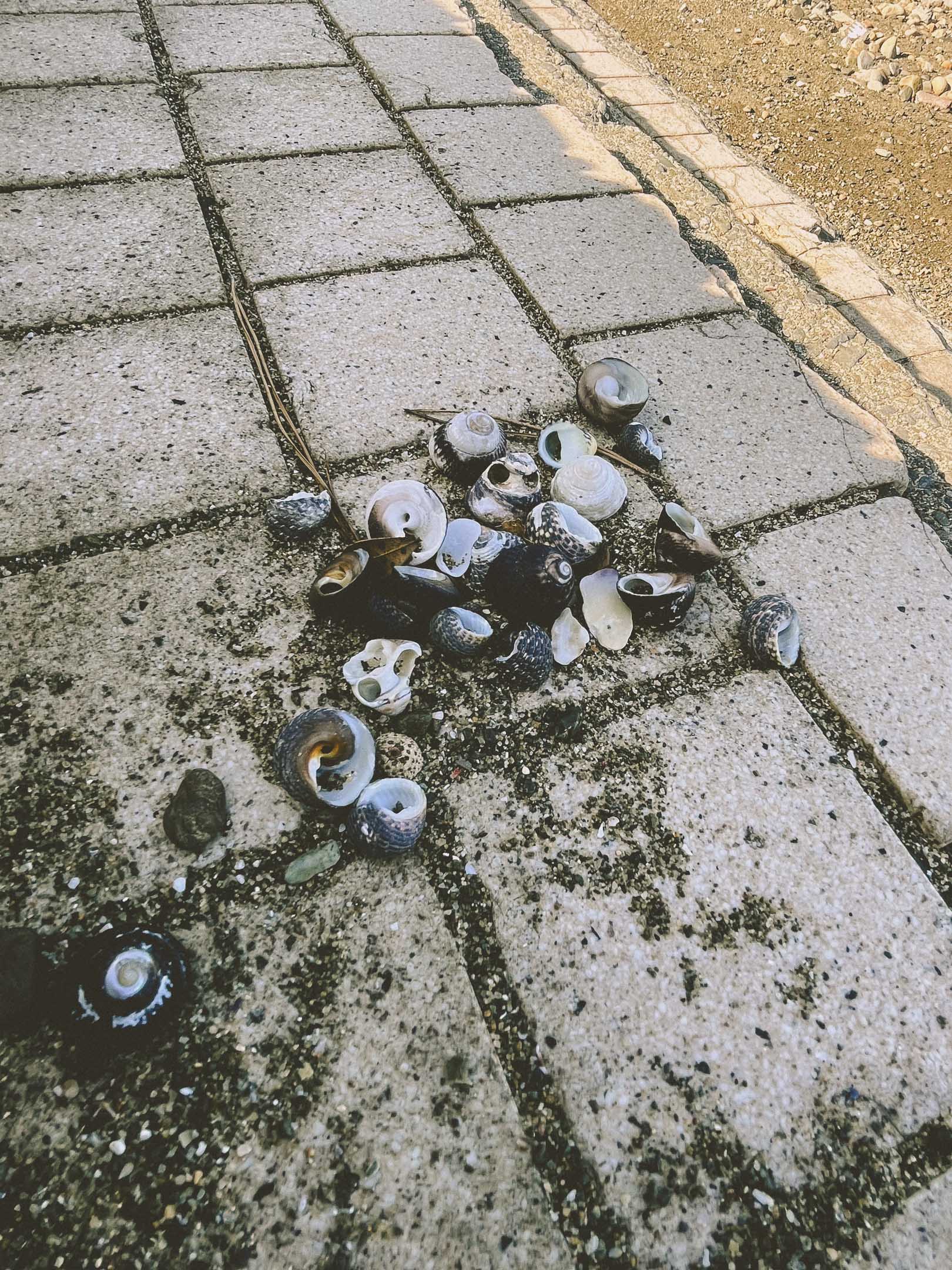 徳島県海陽町の町並み（磯の様子）