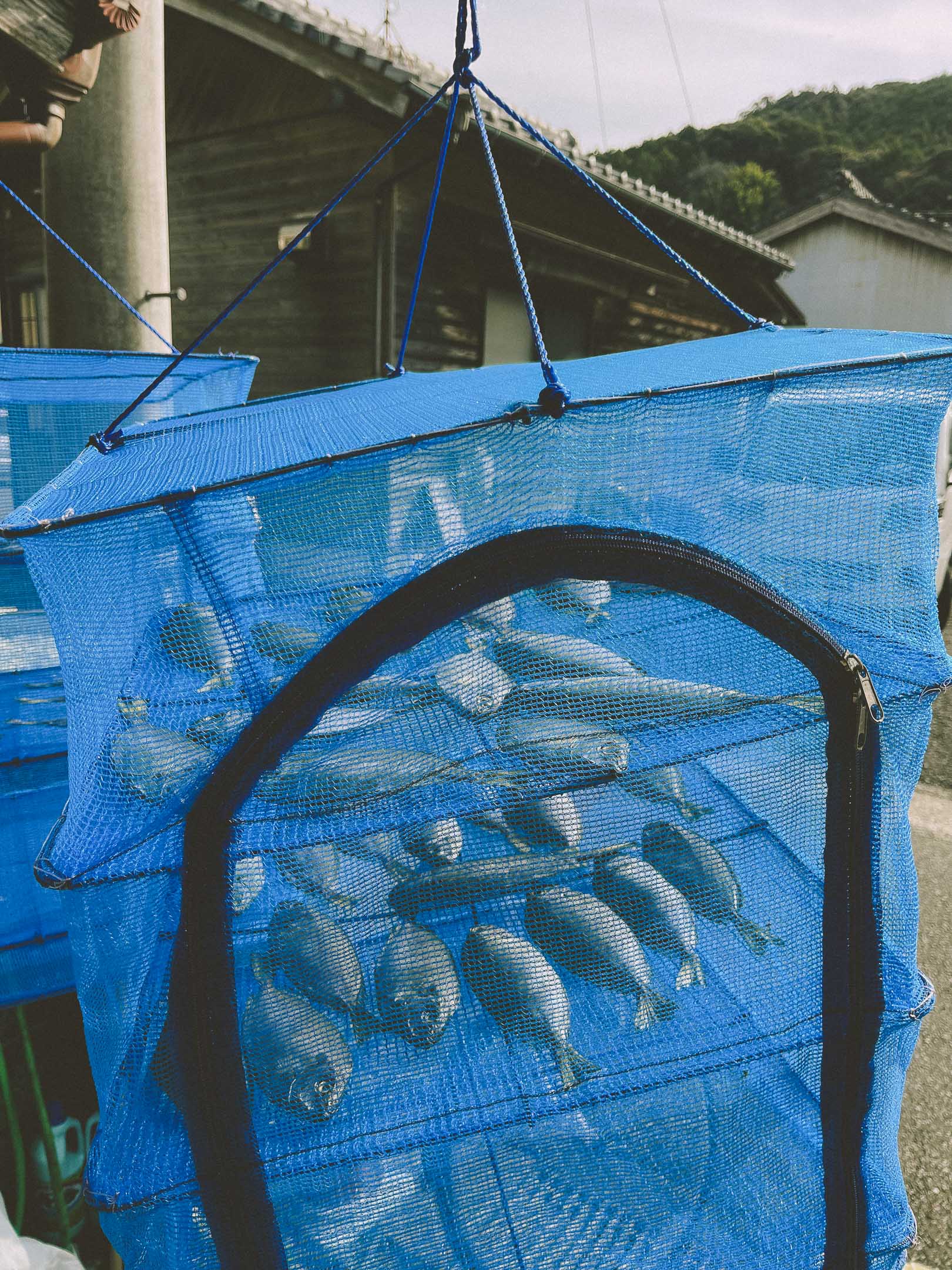 徳島県海陽町の町並み（魚の日干し）